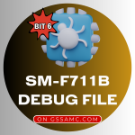 SM-F711B BIT6 Debug File