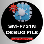 SM-F731N BIT3 Debug File